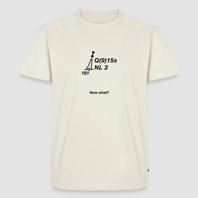 Motiv "Tonne NL 2". Die Tonne NL 2 ist ein West-Kardinalzeichen und hat als Toppzeichen zwei Kegel übereinander, Spitzen zueinander. Die Tonne liegt westlich der Gefahrenstelle Neuer Luechtergrund (Flachwasser). Klick zum Shop.
